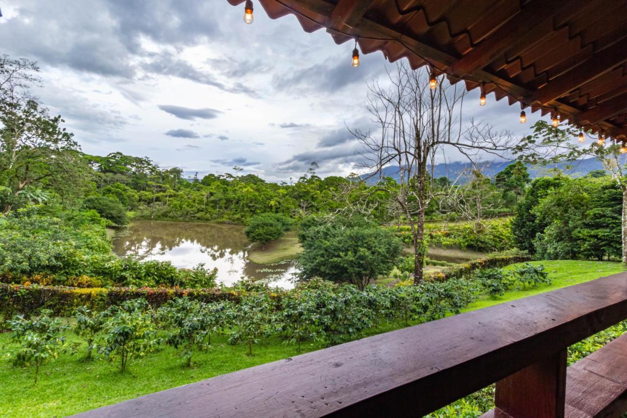 Отель La Anita Rain Forest Colonia Dos Rios Экстерьер фото