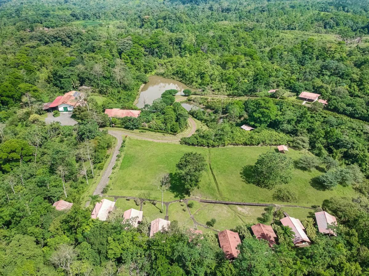 Отель La Anita Rain Forest Colonia Dos Rios Экстерьер фото