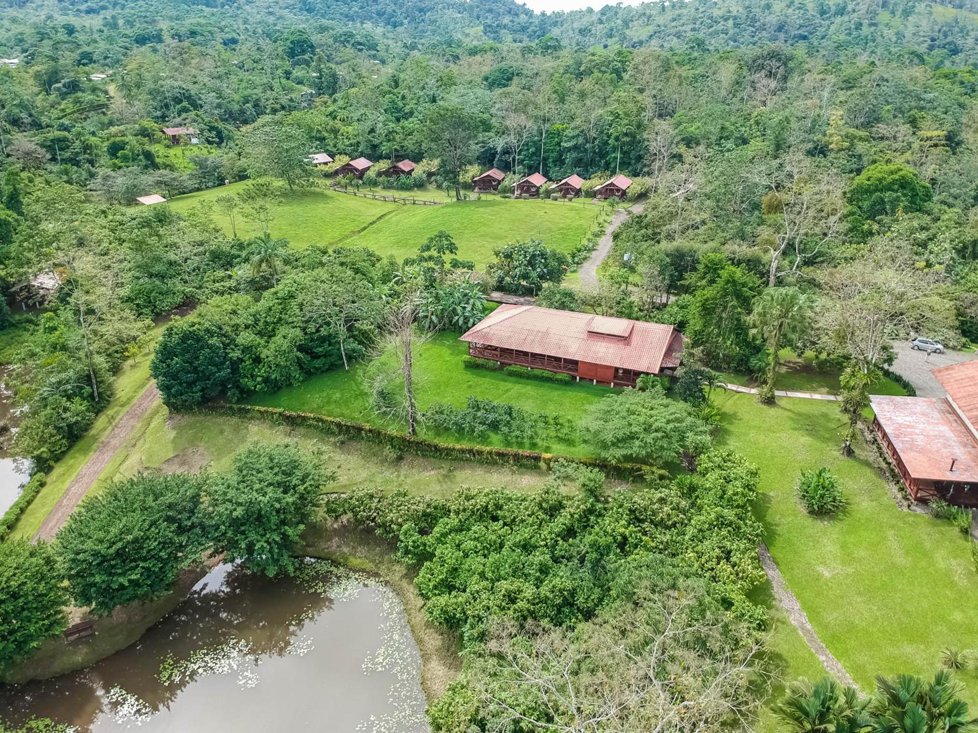 Отель La Anita Rain Forest Colonia Dos Rios Экстерьер фото