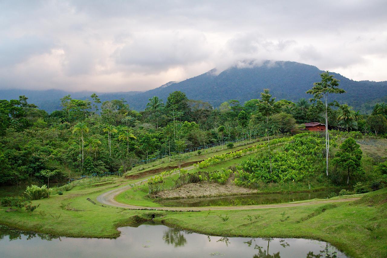 Отель La Anita Rain Forest Colonia Dos Rios Экстерьер фото