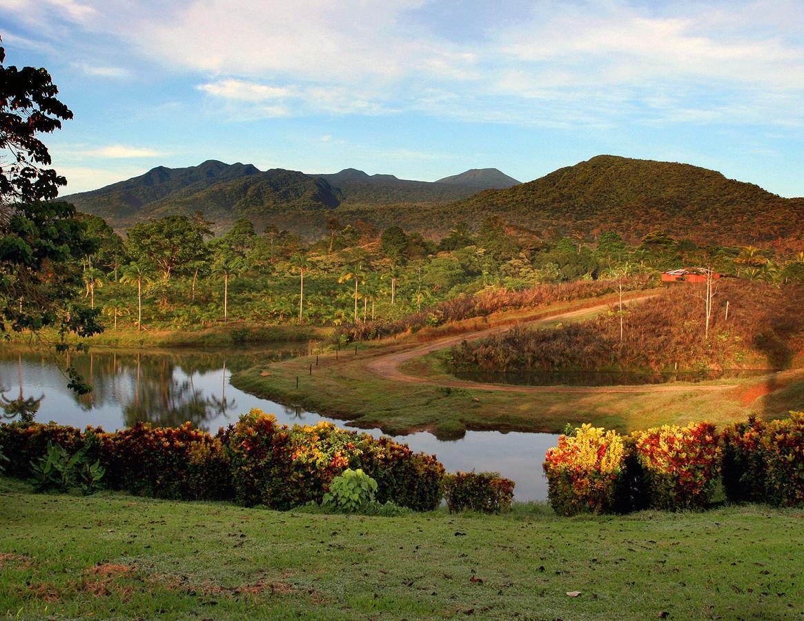 Отель La Anita Rain Forest Colonia Dos Rios Экстерьер фото