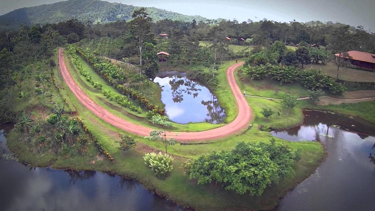 Отель La Anita Rain Forest Colonia Dos Rios Экстерьер фото