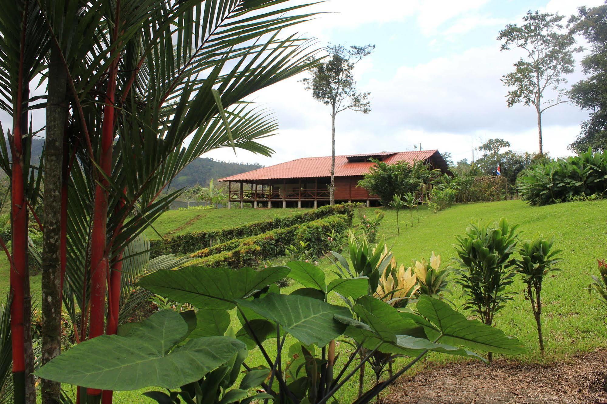 Отель La Anita Rain Forest Colonia Dos Rios Экстерьер фото