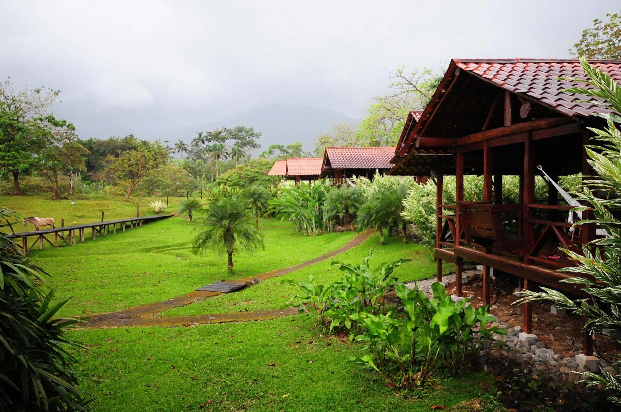 Отель La Anita Rain Forest Colonia Dos Rios Экстерьер фото