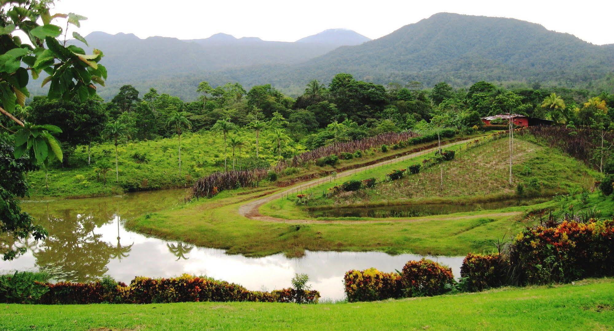 Отель La Anita Rain Forest Colonia Dos Rios Экстерьер фото